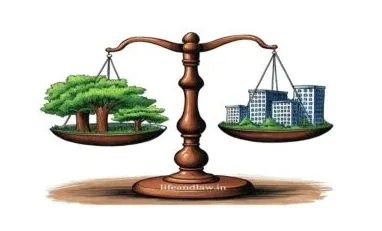 International Day of Forests 2025: Deforestation, Laws, and Whose Responsibility? - आंतरराष्ट्रीय वन दिन 2025: वनतोड, कायदे आणि जबाबदारी कोणाची